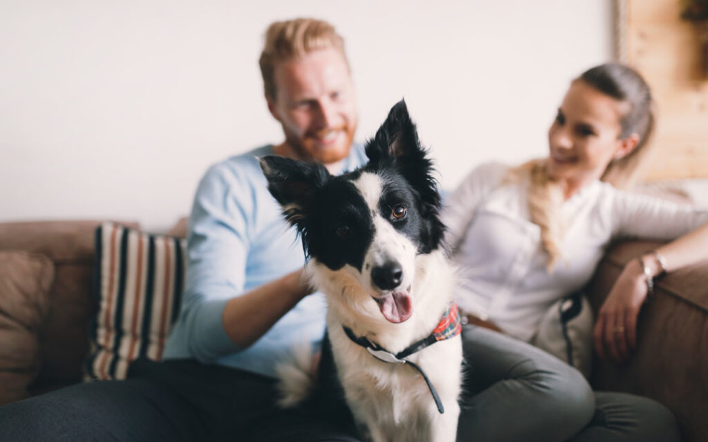 Beautiful couple relaxing at home and loving their pet